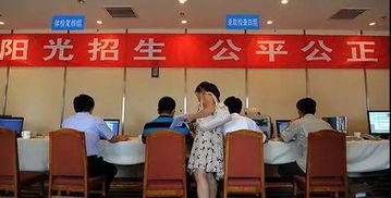 高招錄取正式啟動(dòng) 石家莊市咨詢服務(wù)站電話公布，助力考生獲取關(guān)鍵信息